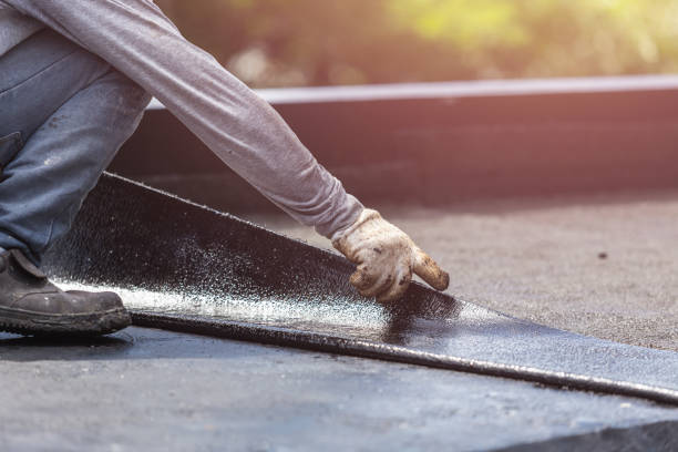 Professional Interior Drainage System technician working in Newburg, MD